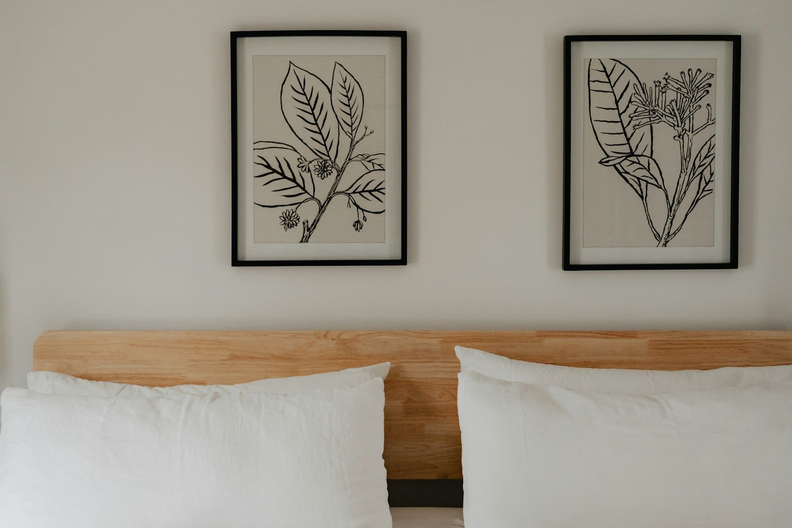 Two botanical line-art posters in black frames above a wooden bed headboard